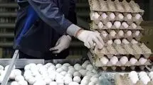  افزایش ۱۴۴ درصدی قیمت تخم‌مرغ از تیر تا آبان‌ماه