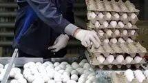  افزایش ۱۴۴ درصدی قیمت تخم‌مرغ از تیر تا آبان‌ماه