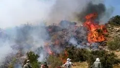 جنگل‌های چالوس همچنان در آتش