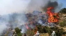 جنگل‌های چالوس همچنان در آتش