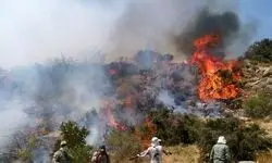 جنگل‌های چالوس همچنان در آتش