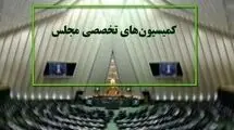 سفر اربعین و مذاکرات اروپا در دستور کار مجلس
