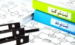 شناسایی ۸۵۰ هزار شرکت صوری و کاغذی در کشور