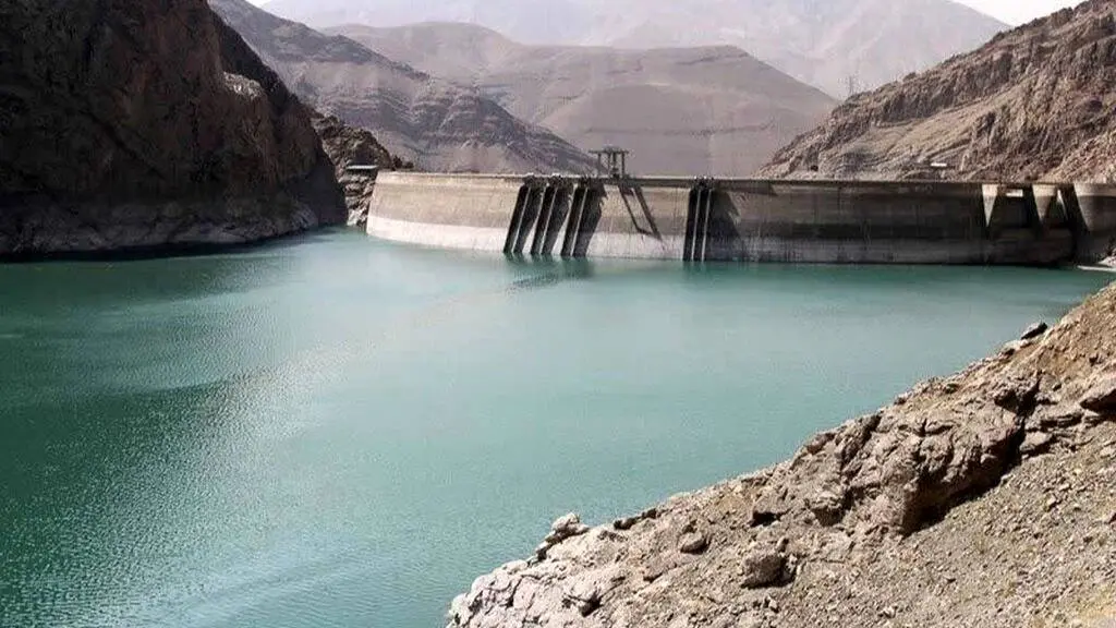 درخت ها را فراموش نکنید