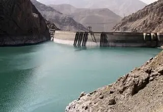 درخت ها را فراموش نکنید