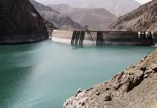 درخت ها را فراموش نکنید