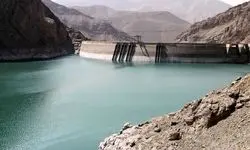 درخت ها را فراموش نکنید