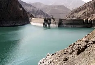 درخت ها را فراموش نکنید