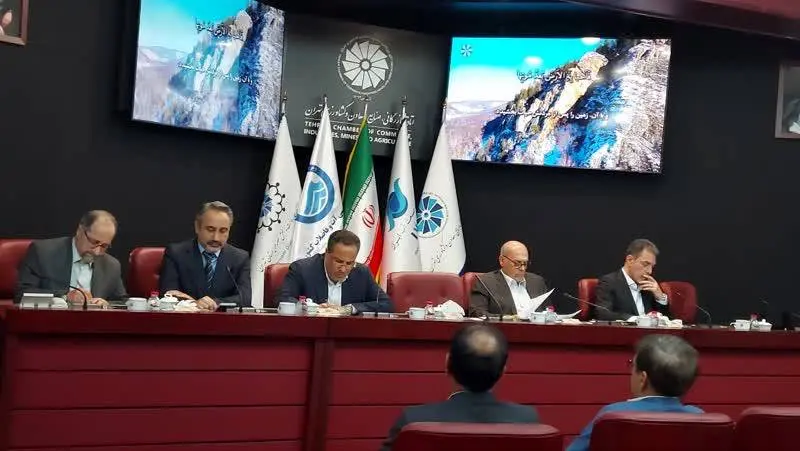 ناترازیها ناشی از قیمتگذاری دستوری دولت است