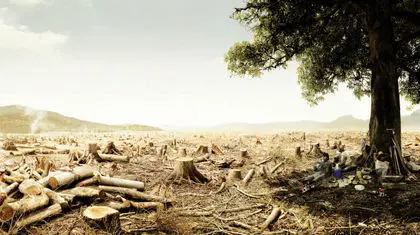 جفت شیش ارز، مارس جنگل‌ها!