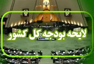 مذاکره کمیسیون برنامه مجلس با دولت درباره متمم بودجه