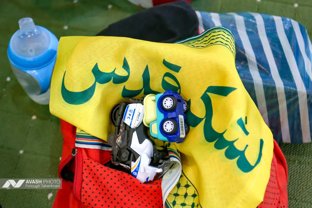 همایش شیرخوارگان حسینی