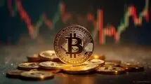قیمت بیت‌کوین از ۱۱۶ هزار دلار عبور کرد