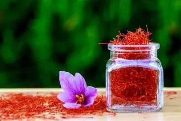 قیمت زعفران اعلام شد؛ قاچاق سالانه بیش از ۱۰۰ تن زعفران