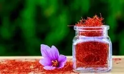 قیمت زعفران اعلام شد؛ قاچاق سالانه بیش از ۱۰۰ تن زعفران