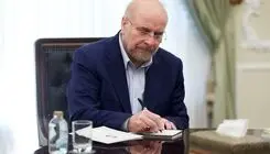 رئیس مجلس شورای اسلامی درگذشت عبدالحمید نقره‌کار را تسلیت گفت