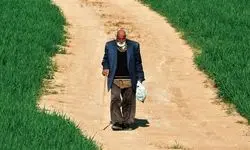 فیلم کوتاه «ویر» به بفتا می‌رود