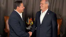 رئیس جمهور بولیوی به دیدار پزشکیان آمد