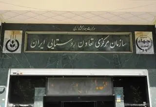 سازمان تعاون روستایی رقیب جدی بخش خصوصی