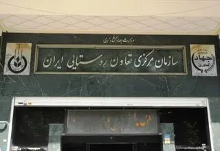 سازمان تعاون روستایی رقیب جدی بخش خصوصی