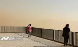 برگزاری جلسه اضطرار آلودگی هوای تهران 