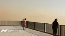 برگزاری جلسه اضطرار آلودگی هوای تهران 
