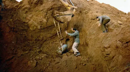 «عمل نکرده‌ها» ،  آنها « آتش بس» نمی فهمند