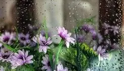 ورود سامانه بارشی جدید به کشور در هفته آینده