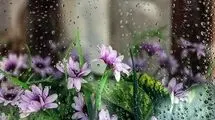 ورود سامانه بارشی جدید به کشور در هفته آینده