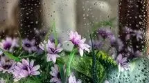 ورود سامانه بارشی جدید به کشور در هفته آینده