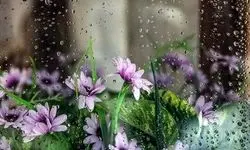 ورود سامانه بارشی جدید به کشور در هفته آینده