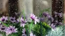 ورود سامانه بارشی جدید به کشور در هفته آینده