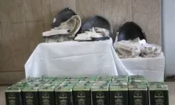 قاچاق "شیشه" در پوشش بار زیتون!