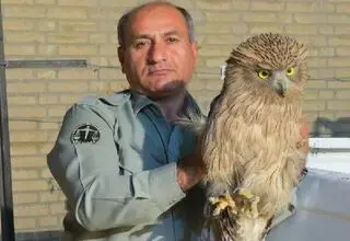 دستور ویژه برای شناسایی عاملان قتل محیط‌بان در کوه خاییز