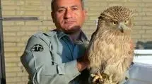 دستور ویژه برای شناسایی عاملان قتل محیط‌بان در کوه خاییز