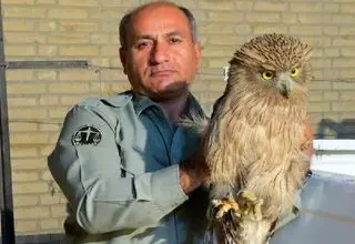دستور ویژه برای شناسایی عاملان قتل محیط‌بان در کوه خاییز