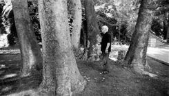 یک نهال افرا به یاد بهرام بیضایی کاشته شد