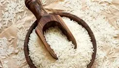 ثبت سفارش واردات برنج از هفته آینده؛ قیمت‌ها تعدیل می‌شود؟ 