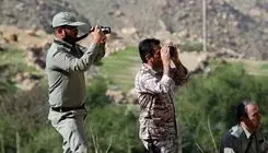 کشف لاشه قوچ وحشی از شکارچیان 