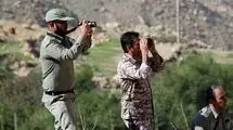کشف لاشه قوچ وحشی از شکارچیان 