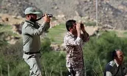 کشف لاشه قوچ وحشی از شکارچیان 