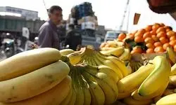 مجوز ندادند؛ موز گران شد+سلامت هندوانه ایرانی را تایید می‌کنیم