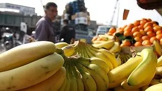 مجوز ندادند؛ موز گران شد+سلامت هندوانه ایرانی را تایید می‌کنیم