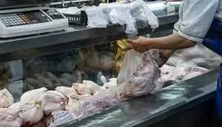 هدف ما صرفا مدیریت روزمره بازار طیور نیست
