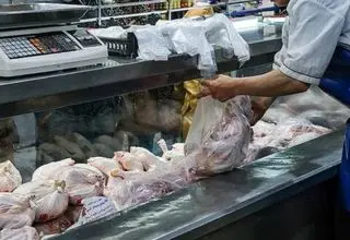 هدف ما صرفا مدیریت روزمره بازار طیور نیست