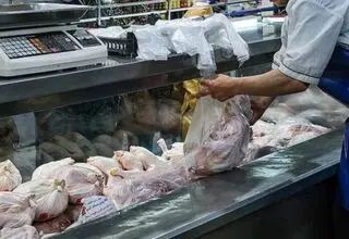 هدف ما صرفا مدیریت روزمره بازار طیور نیست