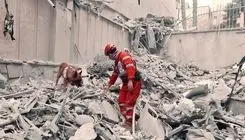 لئو، قهرمان گمنام جنگ