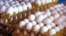 عرضه تخم مرغ با نرخ بالاتر از ۹۴ تا ۹۵ هزارتومان گرانفروشی است
