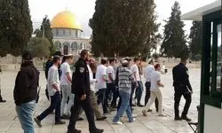هشدار حماس درباره یورش‌های پی‌درپی به مسجدالاقصی
