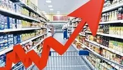 رصد بازار کالاهای اساسی؛ بازار گوشت مرغ، تخم‌مرغ دچار نوسان 